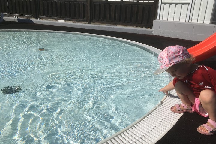 Pool 23 of 51