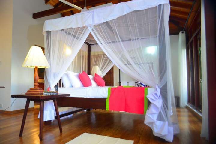 Tropical Retreat in Unawatuna