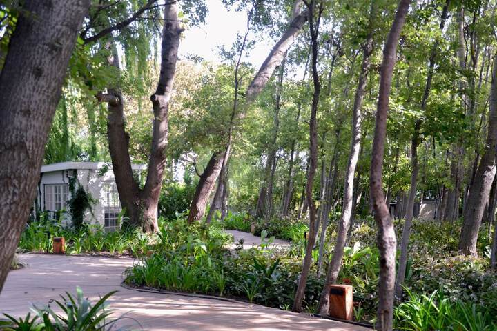 Property Grounds 39 of 46