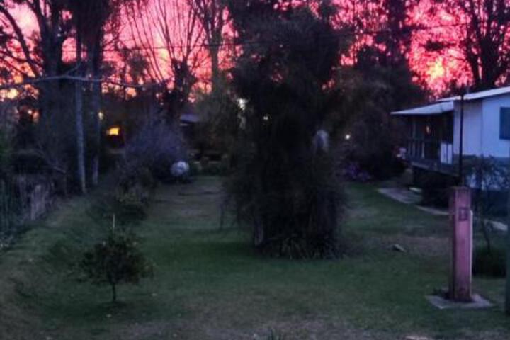 General 11 of 68