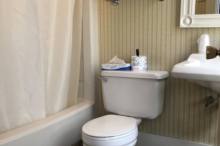 Deluxe King Bed (4 of 16)