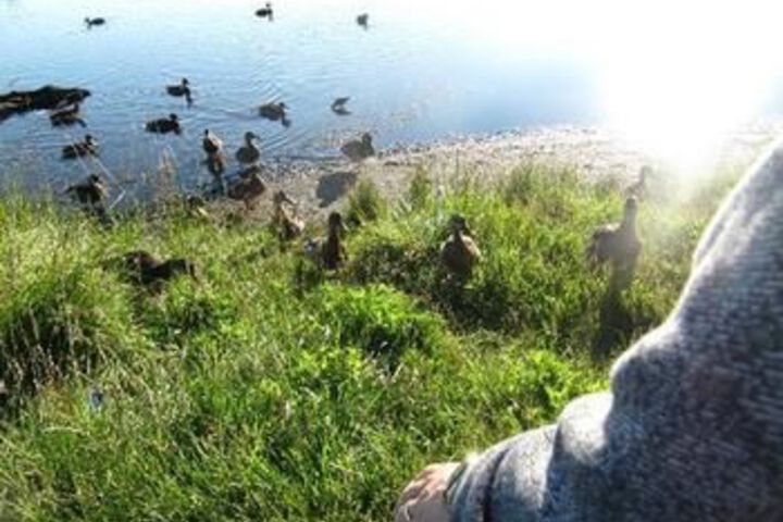 Property Grounds 80 of 126