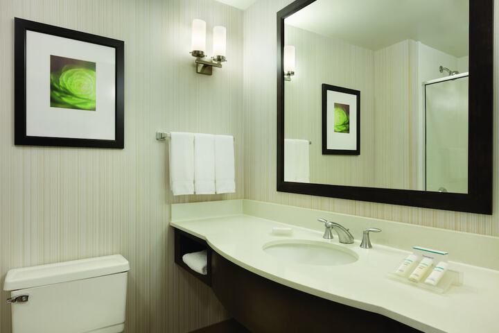 1 King Mobility Accessible with Roll in Shower (17 of 28)