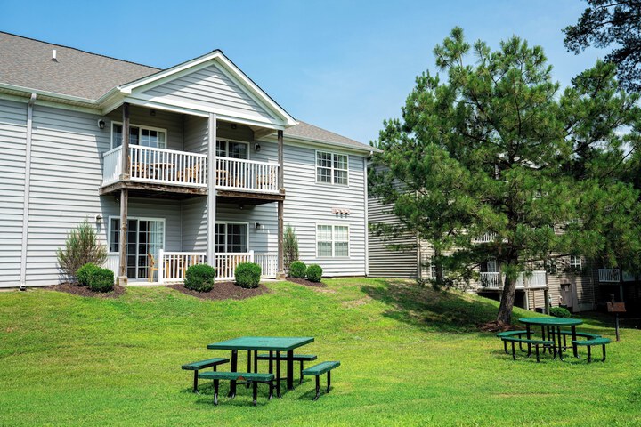 BBQ/picnic area