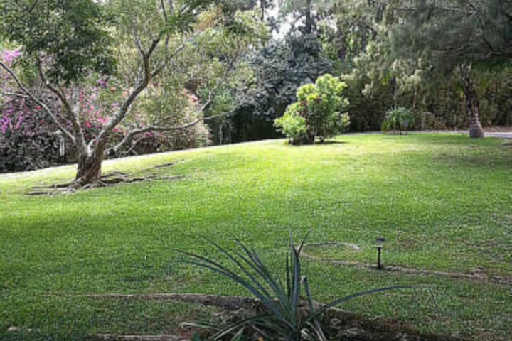 Property Grounds 48 of 60