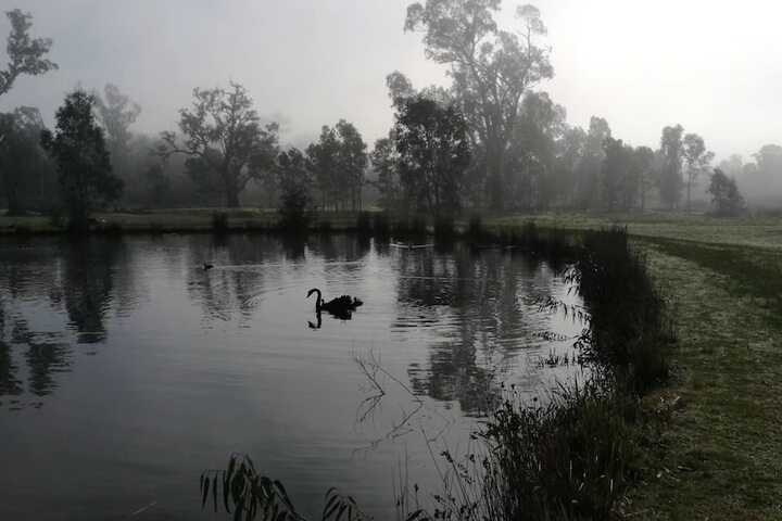 Property Grounds 38 of 58