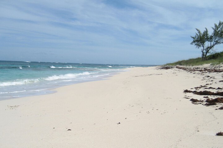 Beach 28 of 40