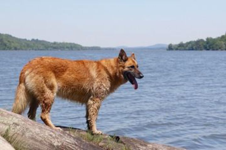 Lake