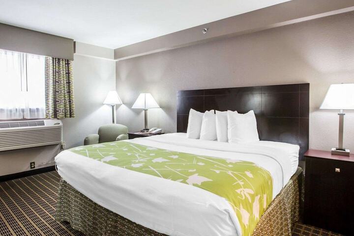 1 King Bed (7 of 8)