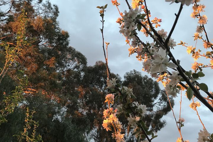 Hotel Exterior 22 of 25