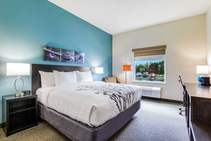 1 King Bed (1 of 16)