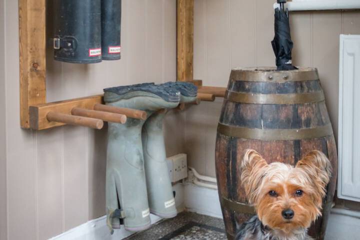 Pet Friendly 76 of 145
