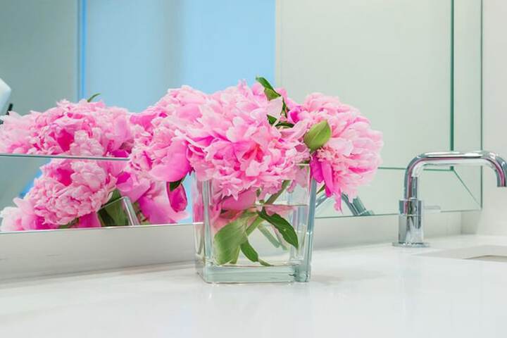 Bathroom Interior Photo