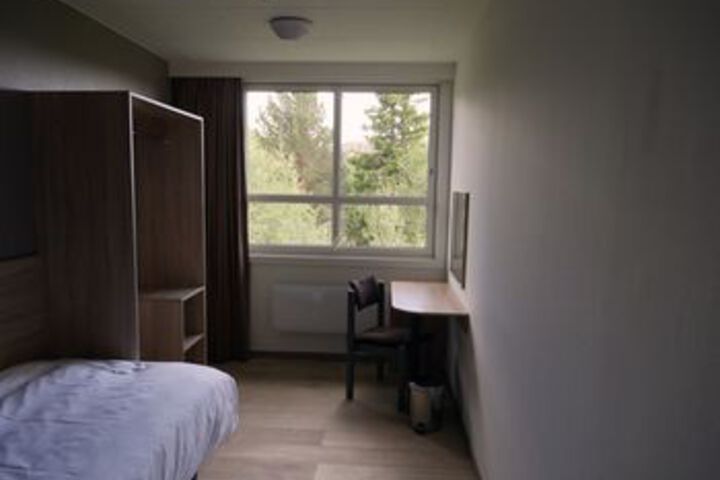 Room 39 of 59