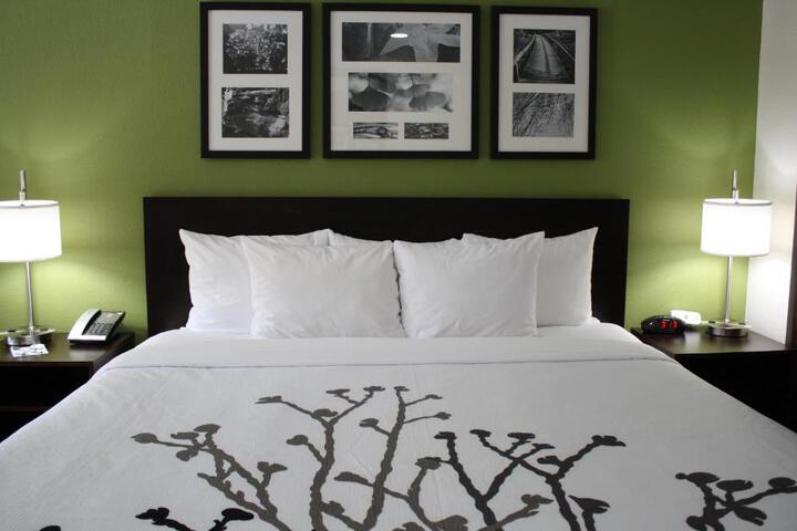 1 King Bed Accessible (9 of 14)