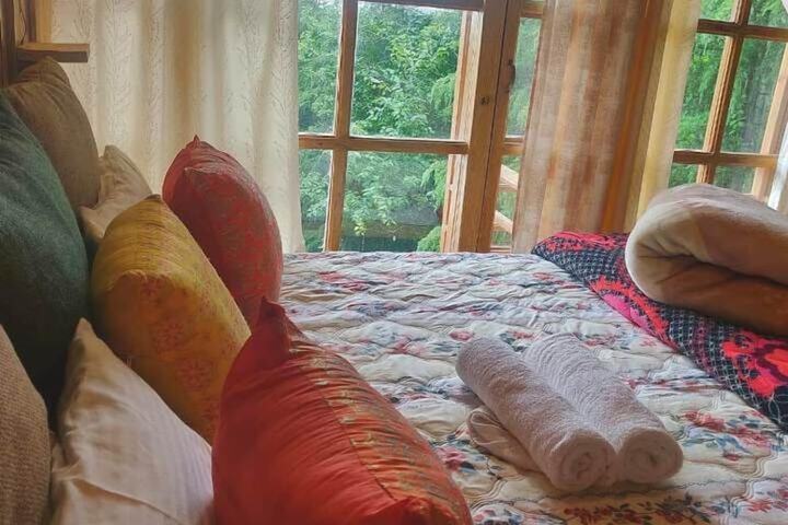 Room 2 of 49