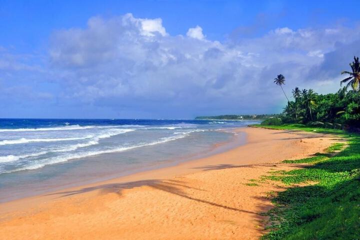 Beach 53 of 69