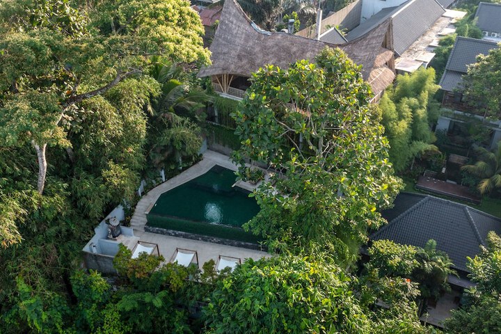 Dinara Ubud