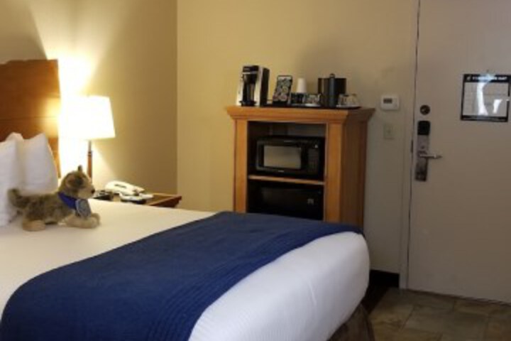 Room 13 of 68