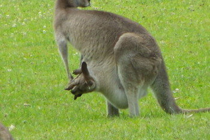 Property Grounds 22 of 26