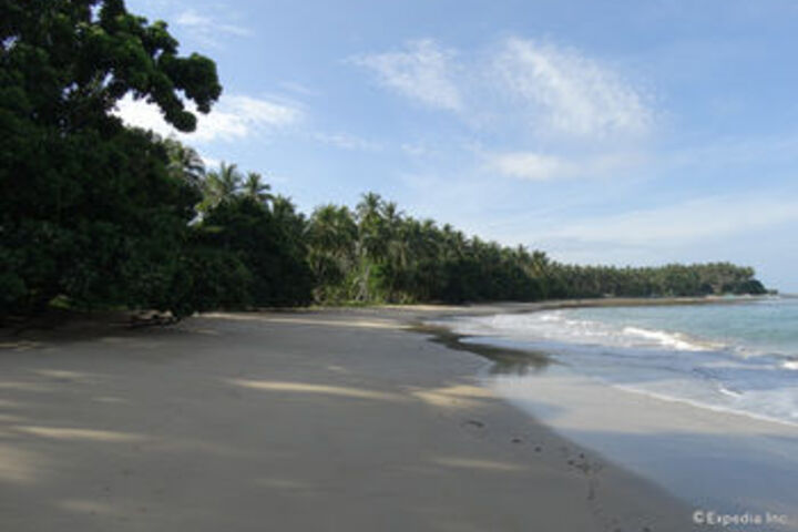 Beach 8 of 63
