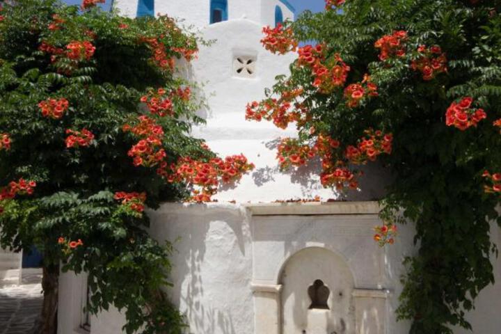 Hotel Dina