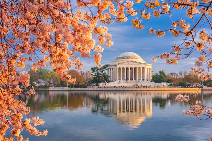 Outdoor Activities 68 of 84