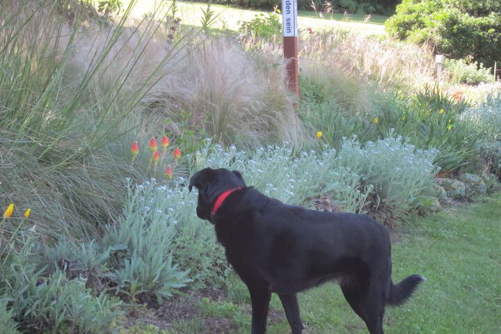 Property Grounds 63 of 87