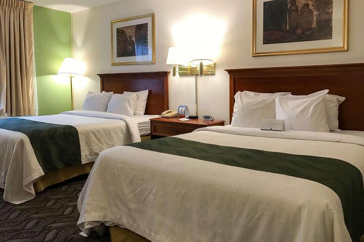 Double Accessible King Size Bed (3 of 9)