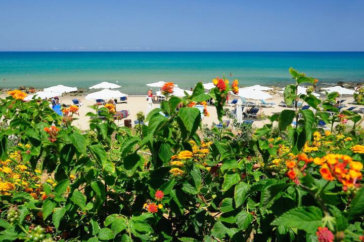 Beach 214 of 249