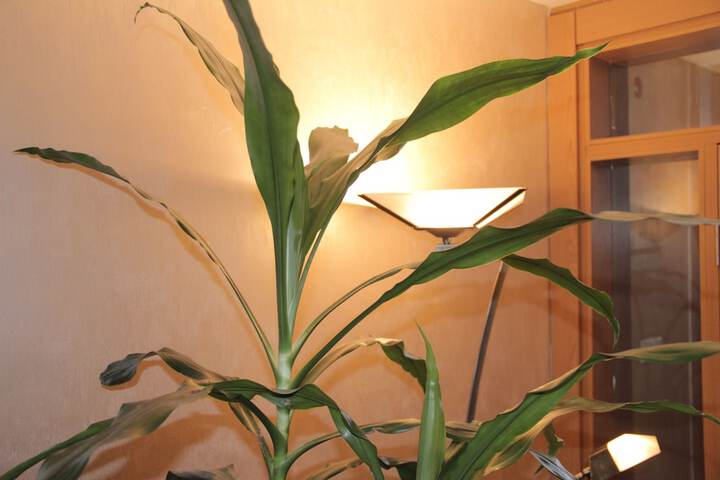 Hotel Interior 55 of 61