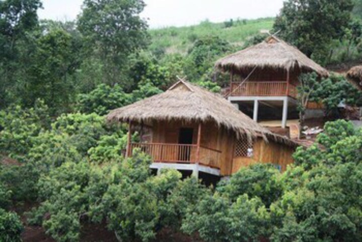 Wawee Strawberry House