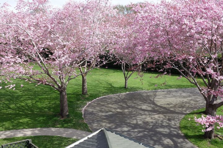 Property Grounds 46 of 58