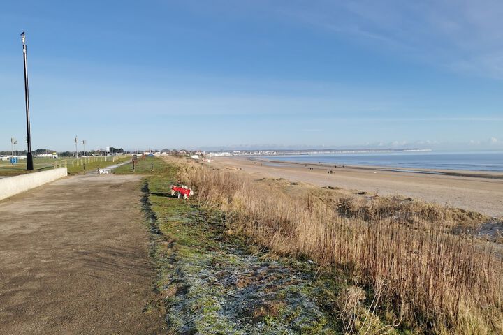 Beach 14 of 17