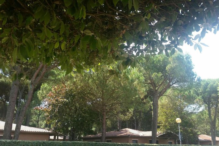 Property Grounds 30 of 35