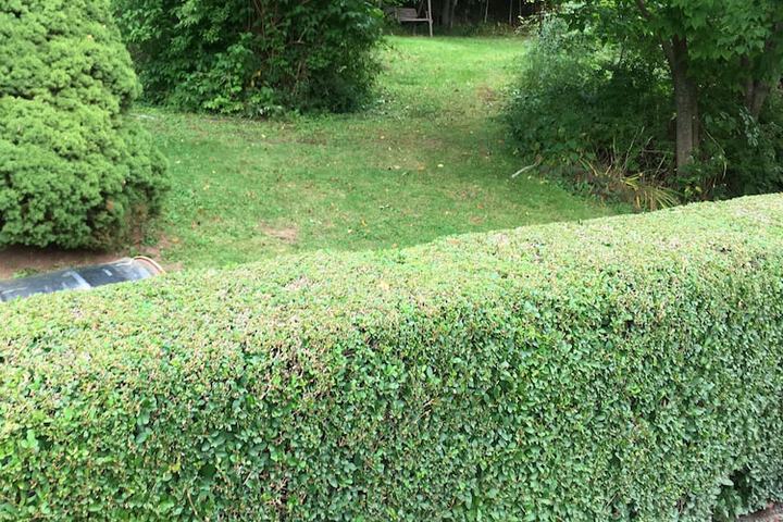 Property Grounds 10 of 18