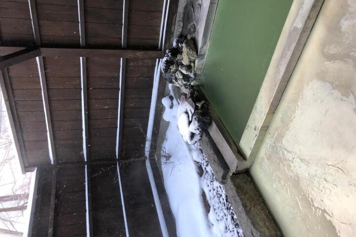 Photo 17