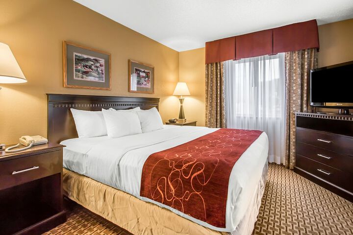 1 King Bed Suite (36 of 37)