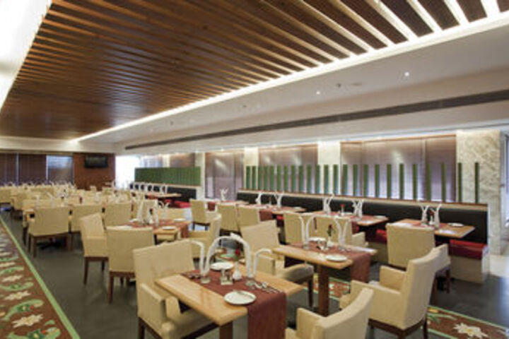 Dining 37 of 45