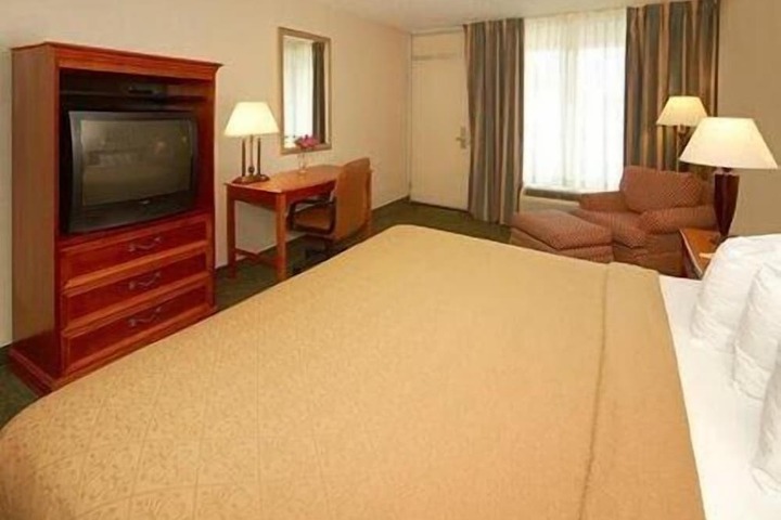 1 King Bed (4 of 8)