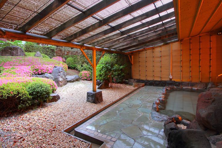 Wellness Treatments