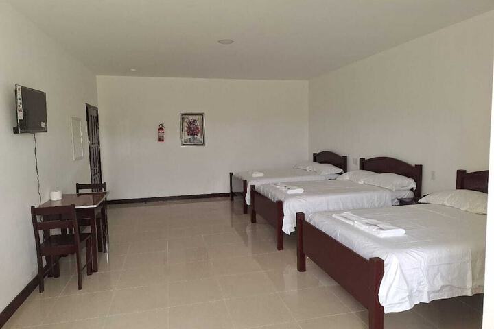 Room 6 of 31