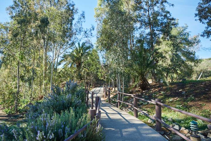 Property Grounds 35 of 47