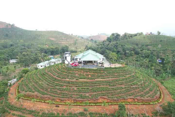 ThePrincess of Wayanad