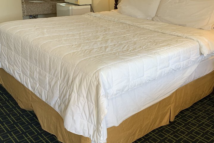 Standard | King Bed (1 of 12)