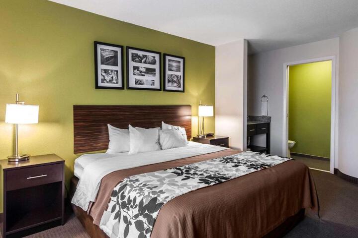 1 King Bed (9 of 11)