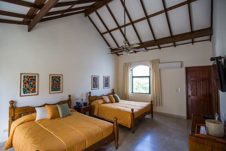 Room 6 of 224