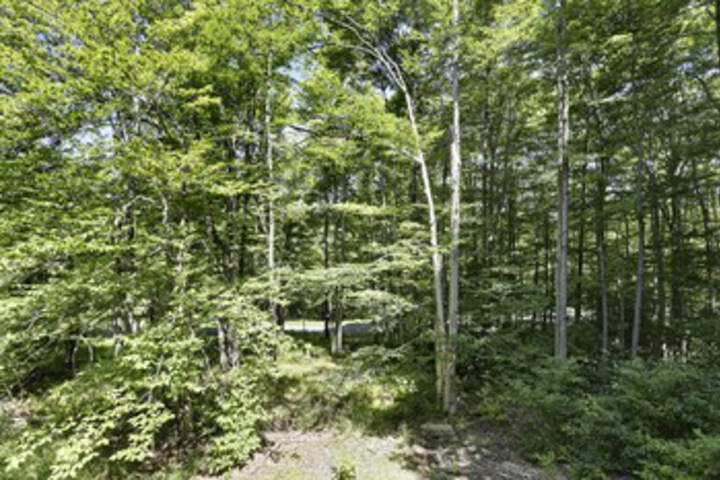 Property Grounds 21 of 40