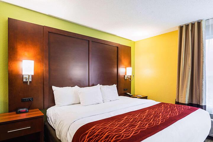 1 King Bed (3 of 20)