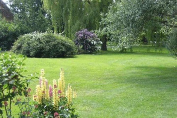 Spa and Wellness Pictures